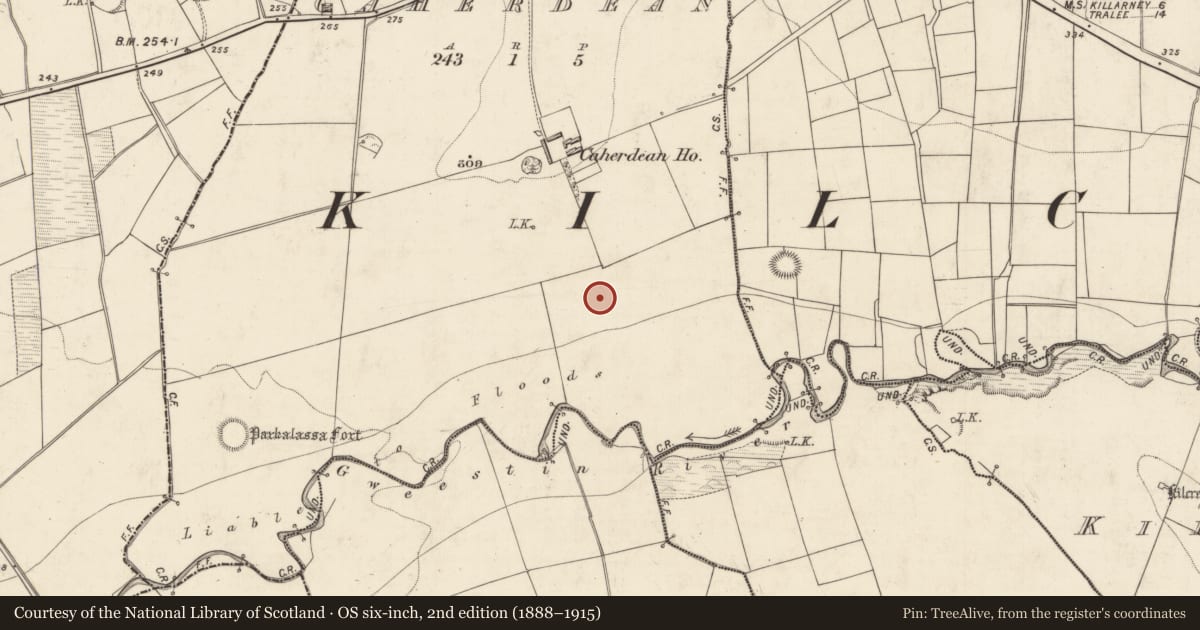 Ordnance Survey six-inch map, 2nd edition (1888–1915) covering the location of Enclosure, Caherdean, County Kerry, with a pin at the register's coordinates