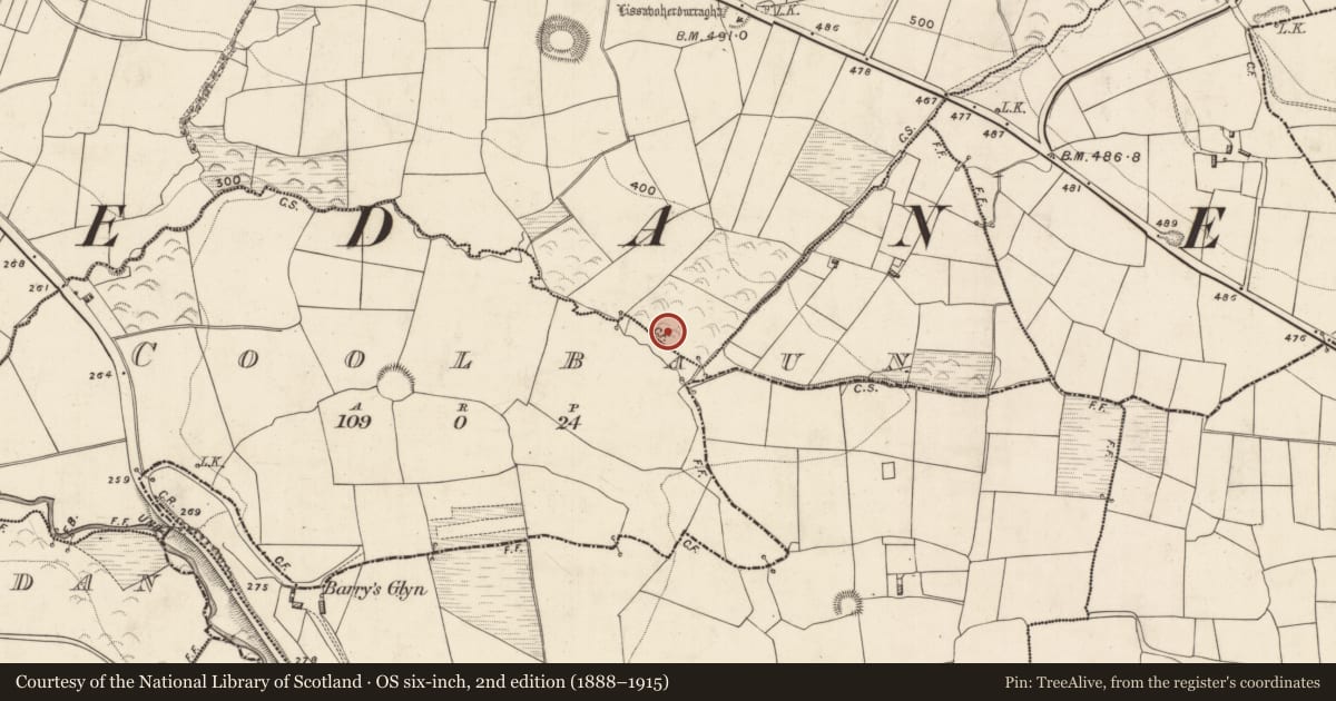 Ordnance Survey six-inch map, 2nd edition (1888–1915) covering the location of Fulacht fia, Leamnaguila, County Kerry, with a pin at the register's coordinates