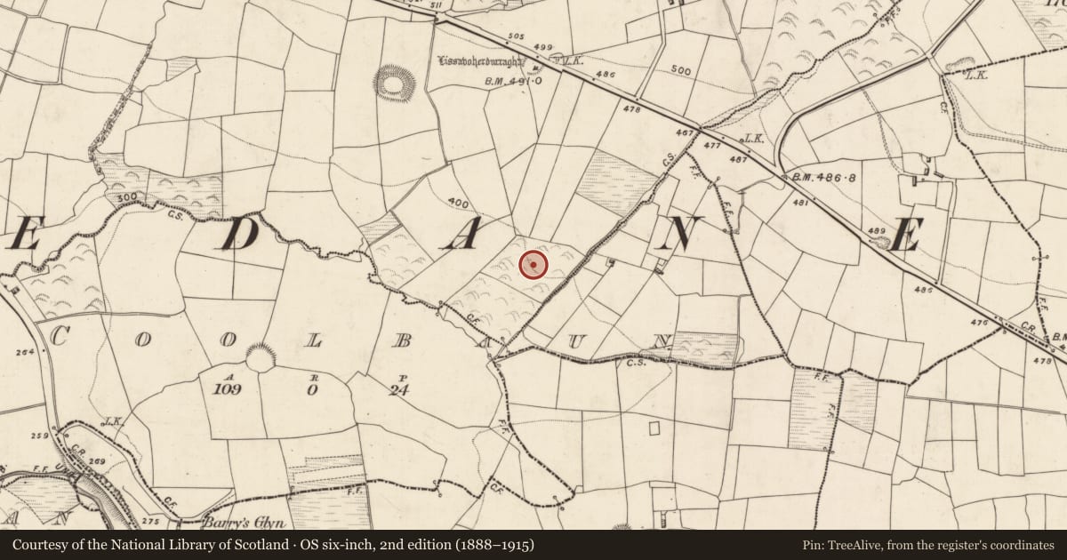 Ordnance Survey six-inch map, 2nd edition (1888–1915) covering the location of Enclosure, Leamnaguila, County Kerry, with a pin at the register's coordinates