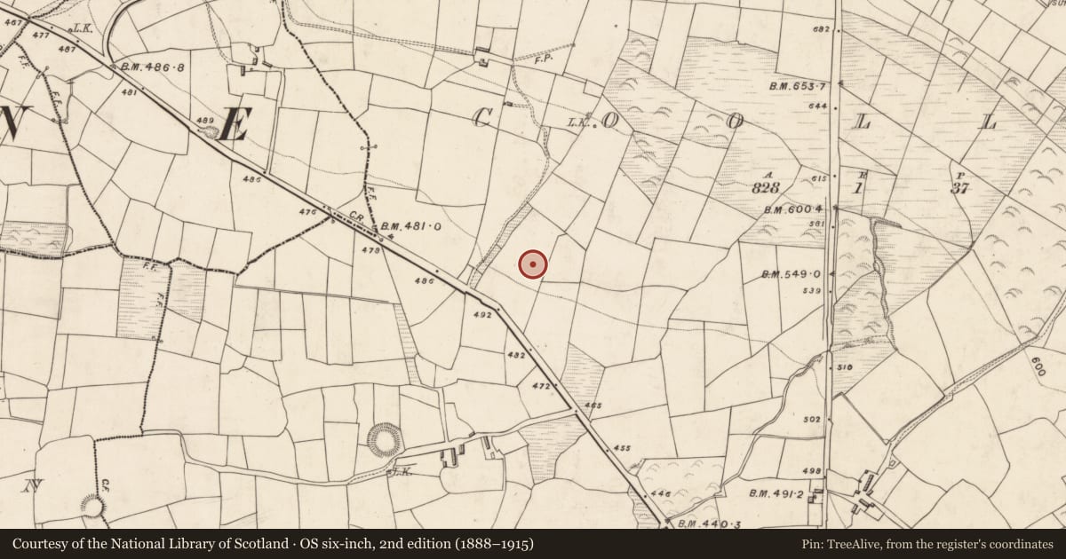 Ordnance Survey six-inch map, 2nd edition (1888–1915) covering the location of Enclosure, Coollick (Magunihy By., Kilcummin Par.), County Kerry, with a pin at the register's coordinates