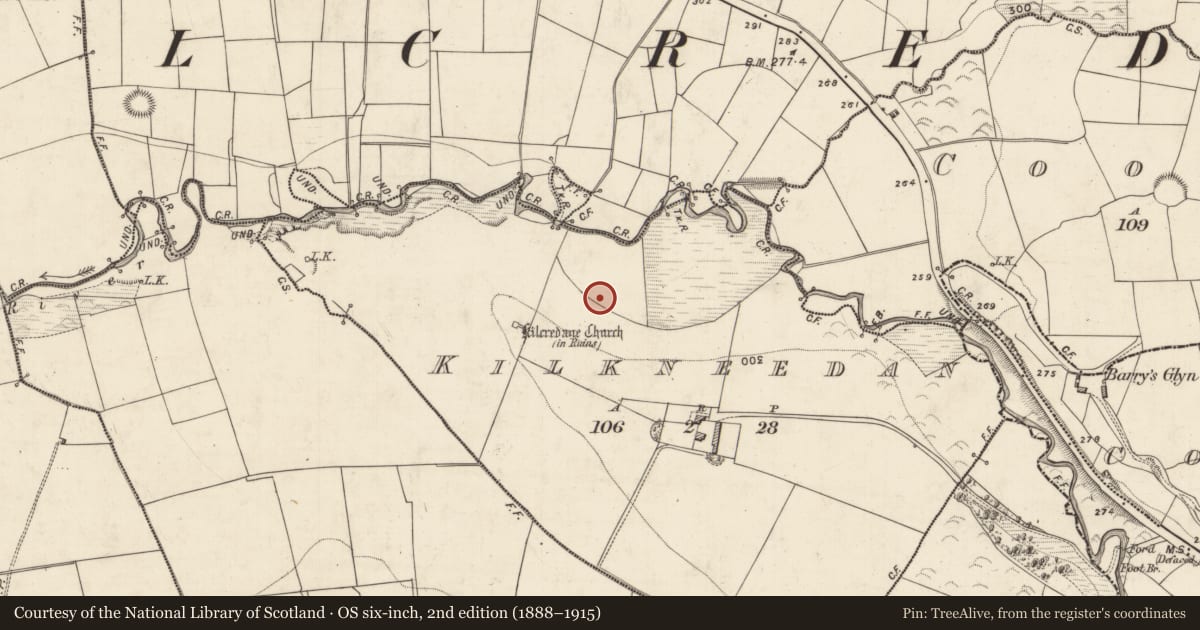 Ordnance Survey six-inch map, 2nd edition (1888–1915) covering the location of Barrow - unclassified, Kilkneedan, County Kerry, with a pin at the register's coordinates