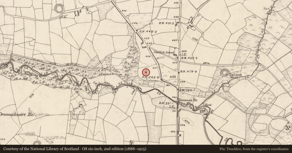 Ordnance Survey six-inch map, 2nd edition (1888–1915) covering the location of Enclosure, Coollick (Magunihy By., Kilcummin Par.), County Kerry, with a pin at the register's coordinates