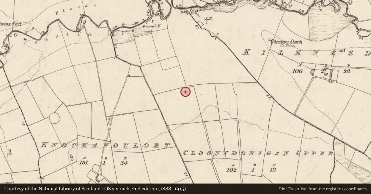 Ordnance Survey six-inch map, 2nd edition (1888–1915) covering the location of Enclosure, Cloonydonigan Upper, County Kerry, with a pin at the register's coordinates