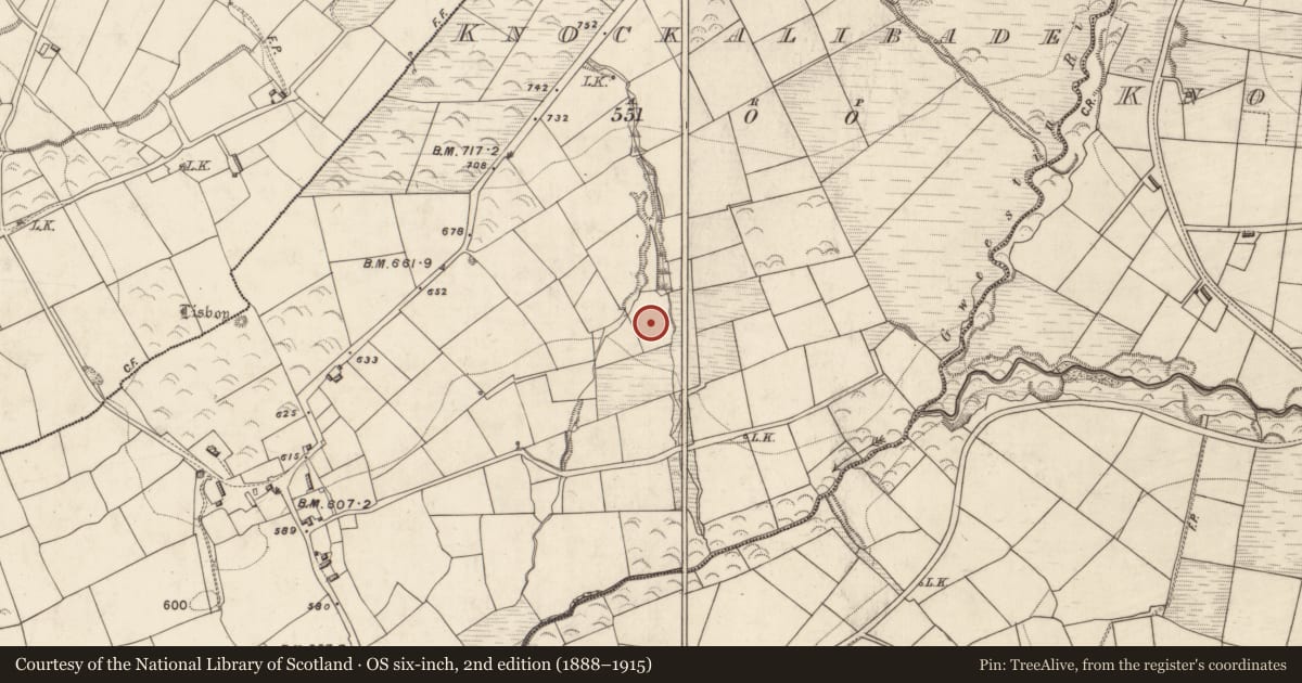 Ordnance Survey six-inch map, 2nd edition (1888–1915) covering the location of Fulacht fia, Knockalibade, County Kerry, with a pin at the register's coordinates