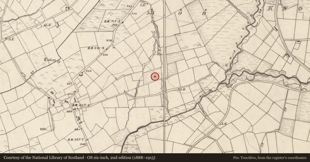 Ordnance Survey six-inch map, 2nd edition (1888–1915) covering the location of Fulacht fia, Knockalibade, County Kerry, with a pin at the register's coordinates