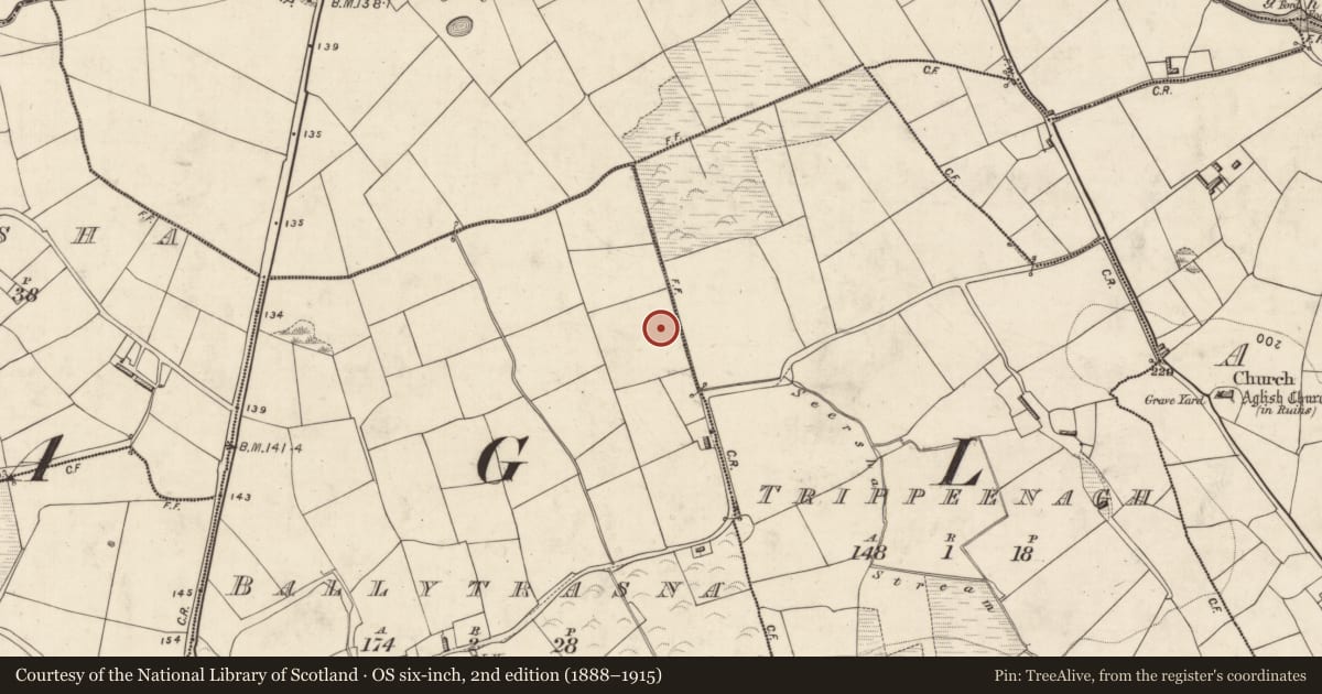 Ordnance Survey six-inch map, 2nd edition (1888–1915) covering the location of Enclosure, Ballytrasna, County Kerry, with a pin at the register's coordinates