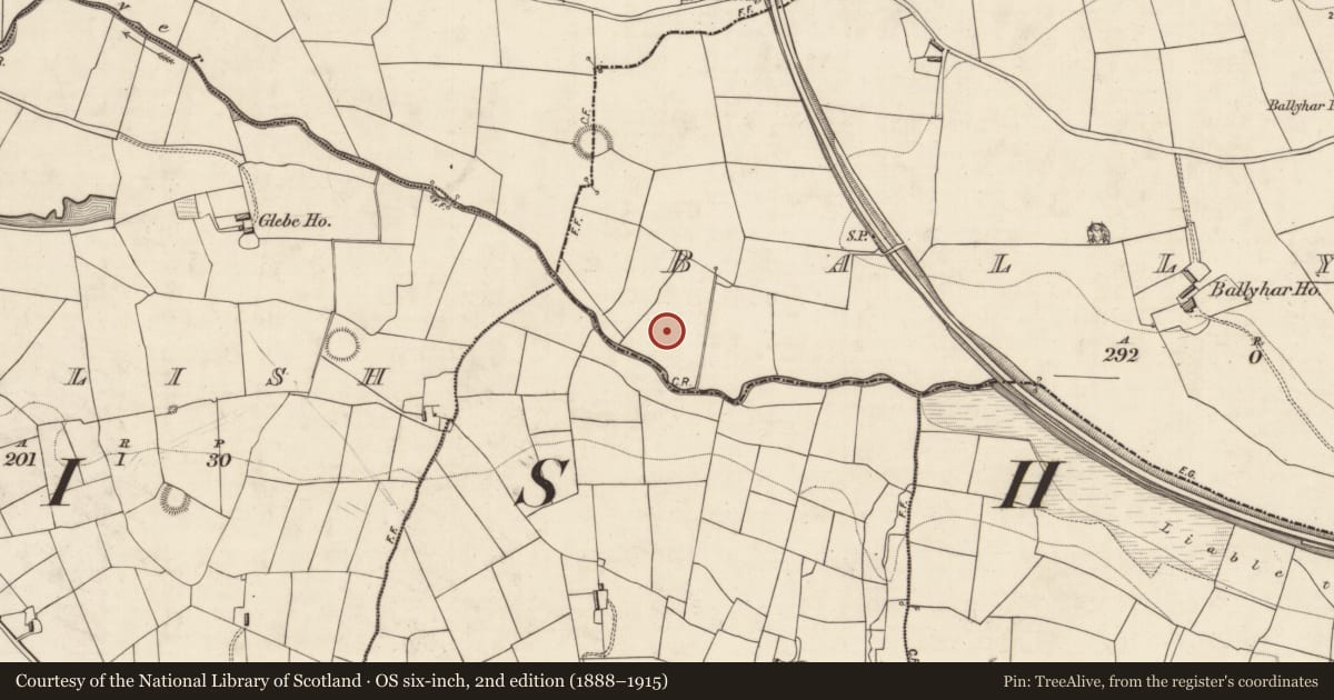 Ordnance Survey six-inch map, 2nd edition (1888–1915) covering the location of Enclosure, Ballyhar, County Kerry, with a pin at the register's coordinates