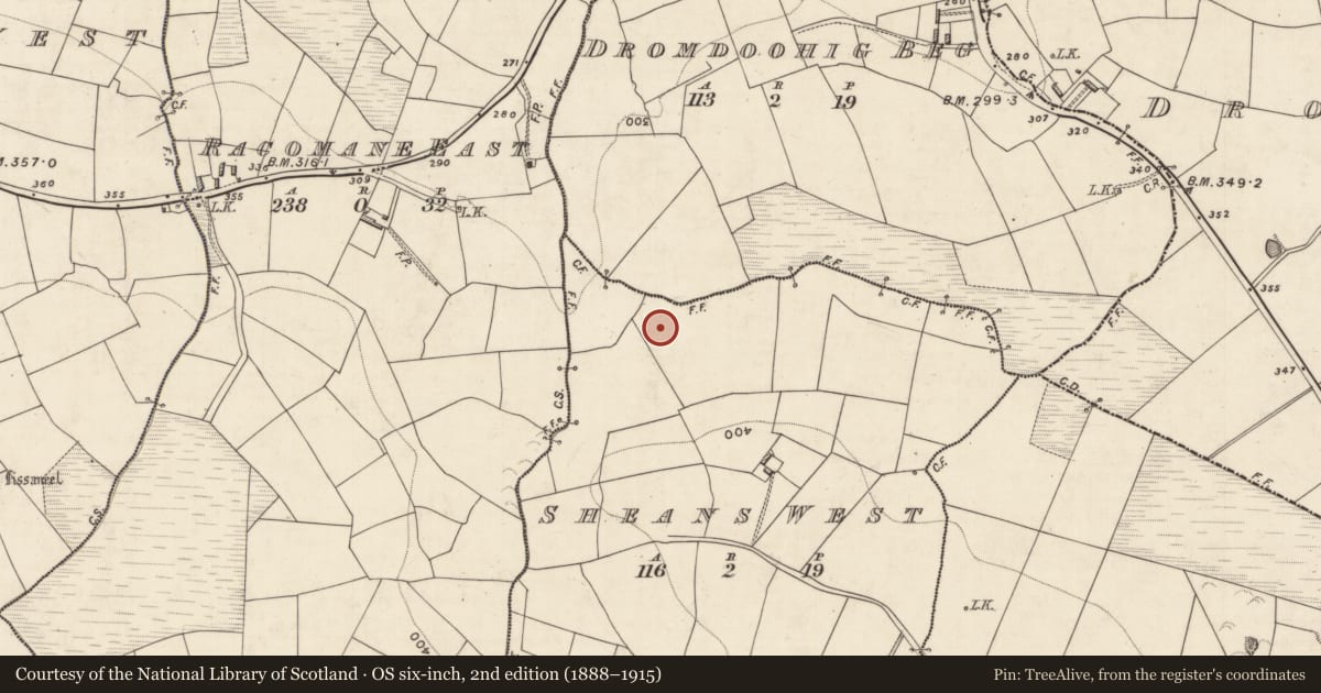 Ordnance Survey six-inch map, 2nd edition (1888–1915) covering the location of Enclosure, Sheans West, County Kerry, with a pin at the register's coordinates