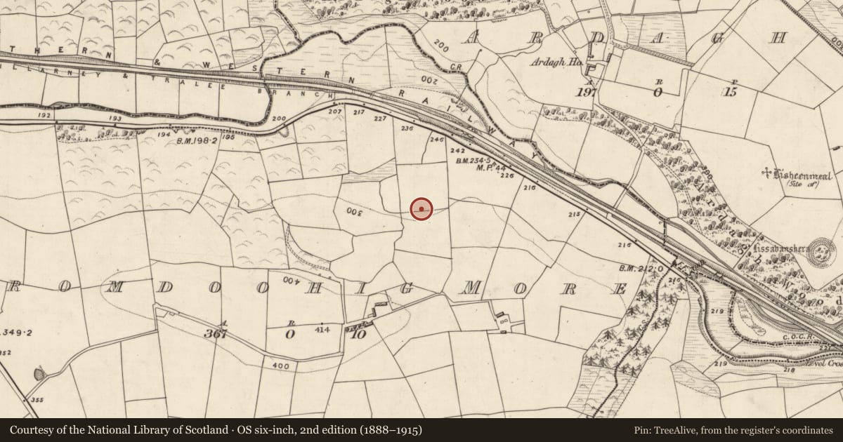 Ordnance Survey six-inch map, 2nd edition (1888–1915) covering the location of Enclosure, Dromdoohig More, County Kerry, with a pin at the register's coordinates