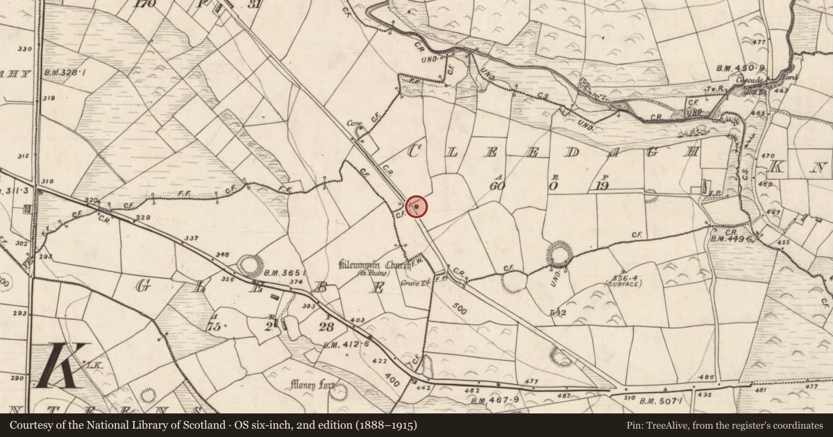 Ordnance Survey six-inch map, 2nd edition (1888–1915) covering the location of Enclosure, Cleedagh, County Kerry, with a pin at the register's coordinates
