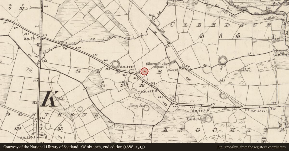 Ordnance Survey six-inch map, 2nd edition (1888–1915) covering the location of Enclosure, Glebe, County Kerry, with a pin at the register's coordinates