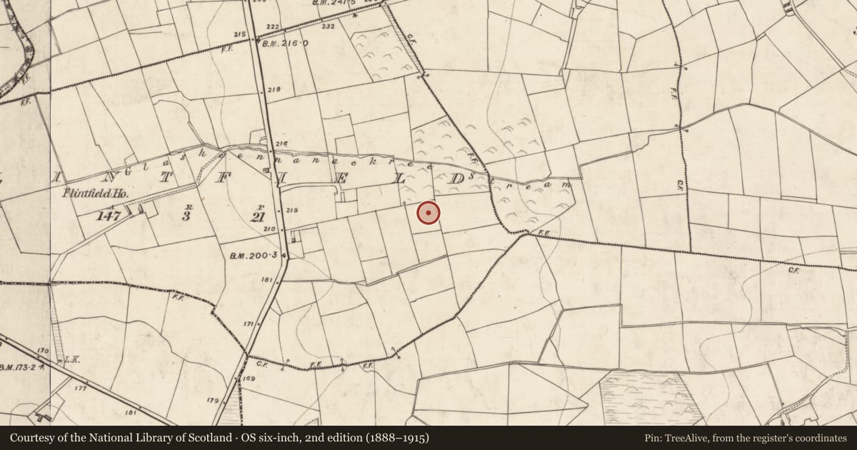 Ordnance Survey six-inch map, 2nd edition (1888–1915) covering the location of Enclosure, Flintfield, County Kerry, with a pin at the register's coordinates