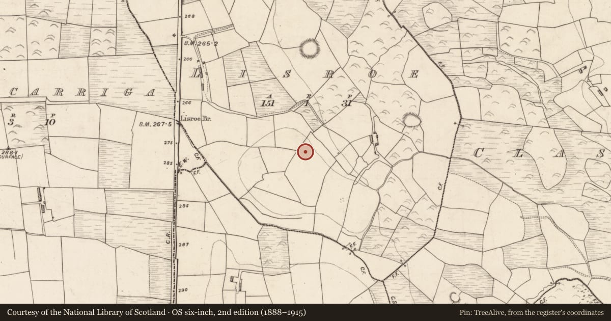 Ordnance Survey six-inch map, 2nd edition (1888–1915) covering the location of Enclosure, Lisroe, County Kerry, with a pin at the register's coordinates