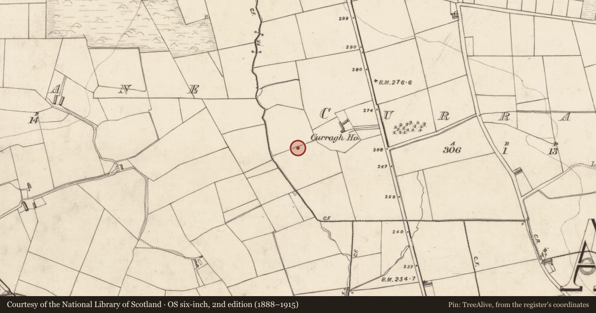 Ordnance Survey six-inch map, 2nd edition (1888–1915) covering the location of Fulacht fia, Curragh, County Kerry, with a pin at the register's coordinates