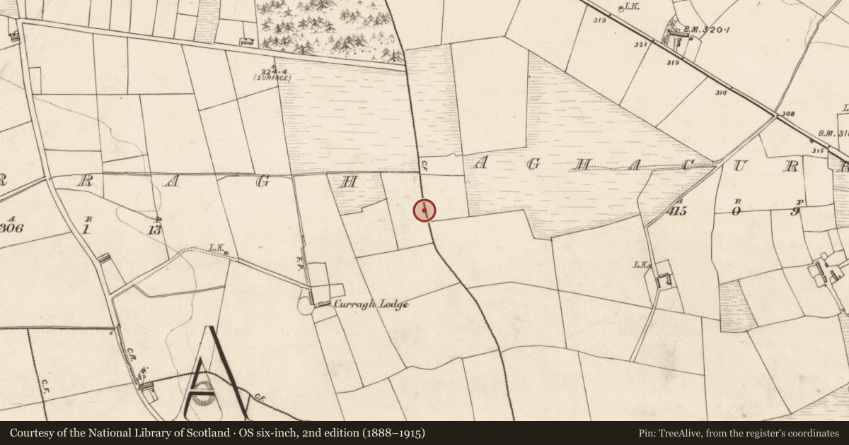 Ordnance Survey six-inch map, 2nd edition (1888–1915) covering the location of Enclosure, Curragh, County Kerry, with a pin at the register's coordinates