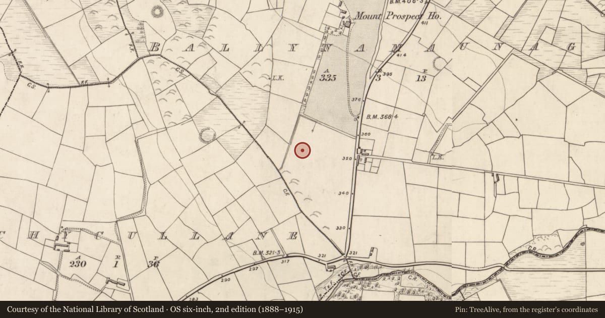 Ordnance Survey six-inch map, 2nd edition (1888–1915) covering the location of Fulacht fia, Ballynamaunagh, County Kerry, with a pin at the register's coordinates