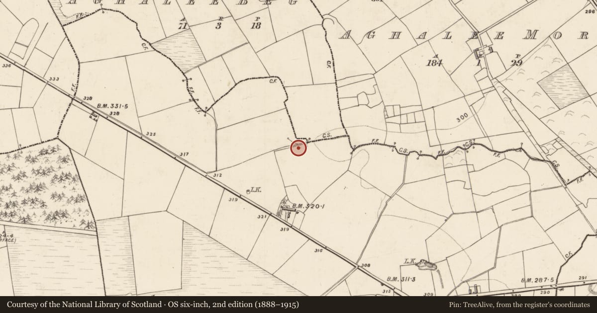 Ordnance Survey six-inch map, 2nd edition (1888–1915) covering the location of Water mill - horizontal-wheeled, Aghacurreen, County Kerry, with a pin at the register's coordinates