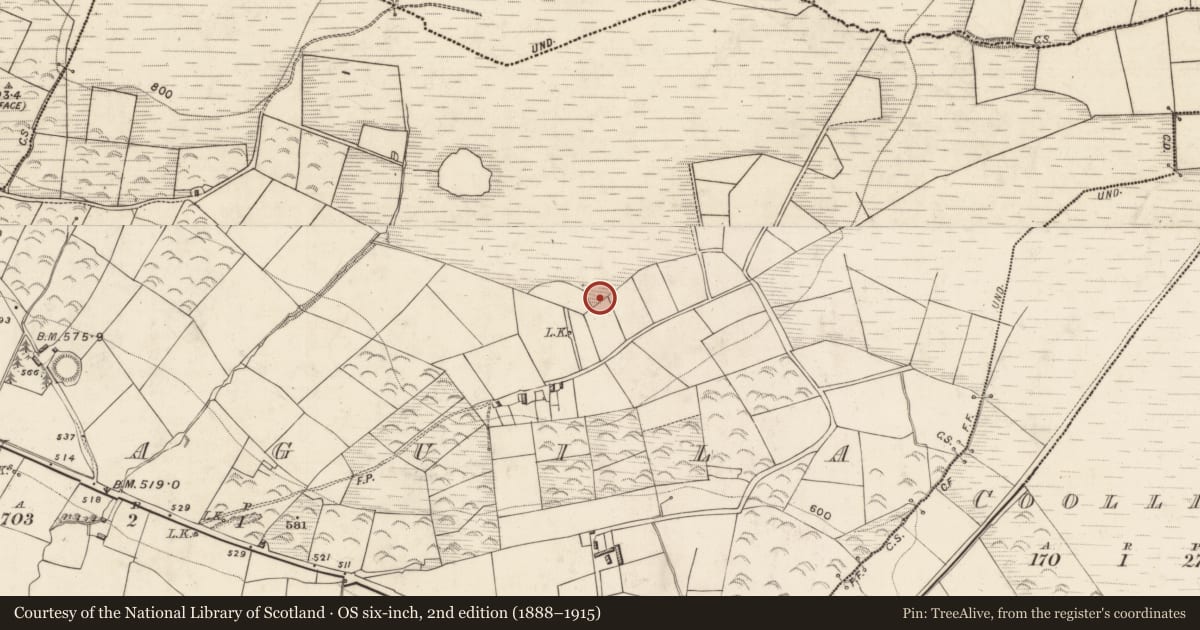 Ordnance Survey six-inch map, 2nd edition (1888–1915) covering the location of Standing stone, Leamnaguila, County Kerry, with a pin at the register's coordinates