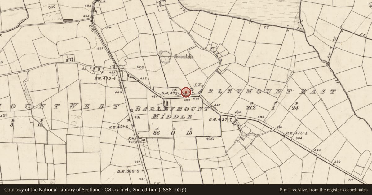 Ordnance Survey six-inch map, 2nd edition (1888–1915) covering the location of Standing stone, Barleymount East, County Kerry, with a pin at the register's coordinates