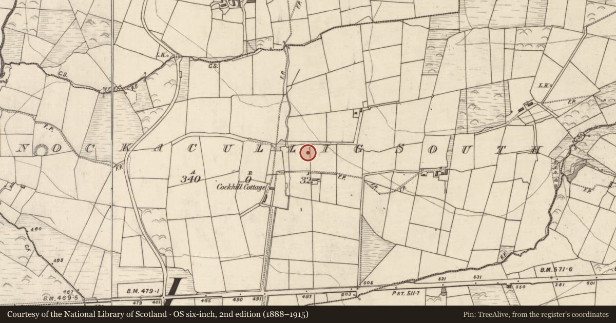 Ordnance Survey six-inch map, 2nd edition (1888–1915) covering the location of Ringfort - rath, Knockacullig South, County Kerry, with a pin at the register's coordinates