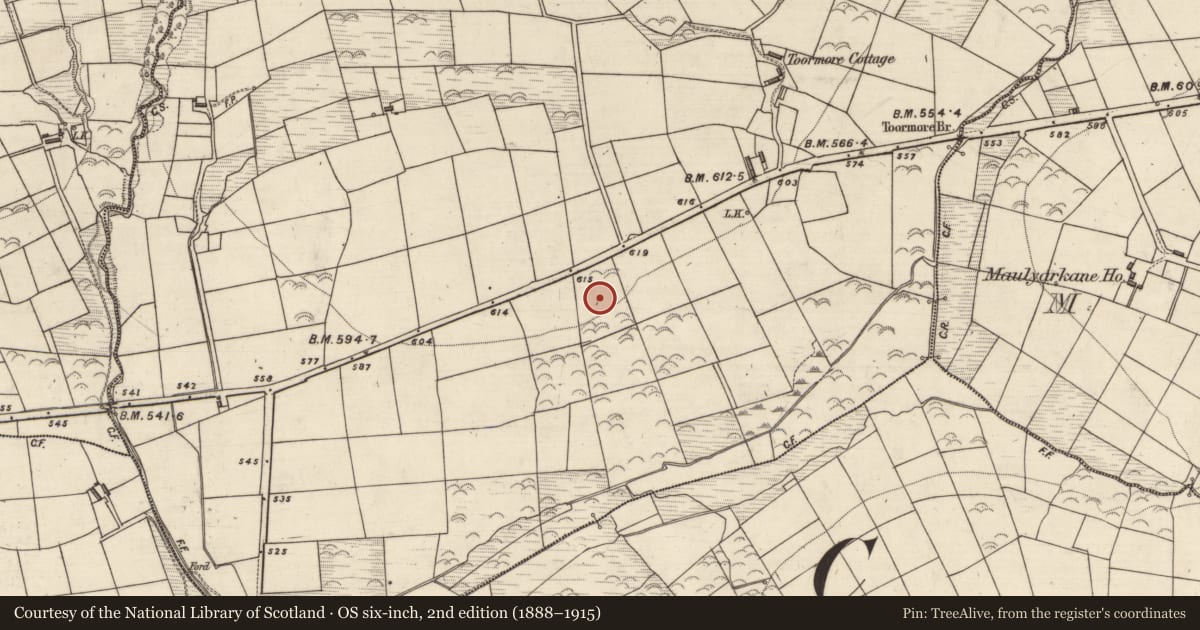 Ordnance Survey six-inch map, 2nd edition (1888–1915) covering the location of Ringfort - rath, Toormore, County Kerry, with a pin at the register's coordinates