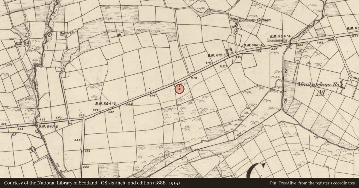 Ordnance Survey six-inch map, 2nd edition (1888–1915) covering the location of Cursing stone, Toormore, County Kerry, with a pin at the register's coordinates