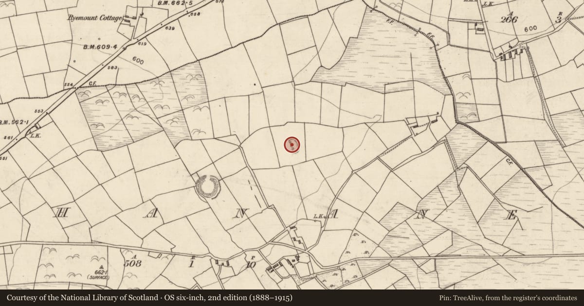 Ordnance Survey six-inch map, 2nd edition (1888–1915) covering the location of Hut site, Rahanane, County Kerry, with a pin at the register's coordinates