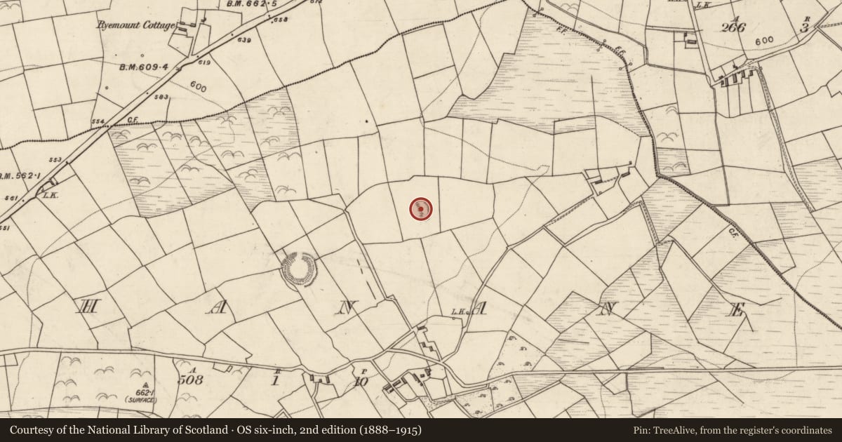 Ordnance Survey six-inch map, 2nd edition (1888–1915) covering the location of Hut site, Rahanane, County Kerry, with a pin at the register's coordinates