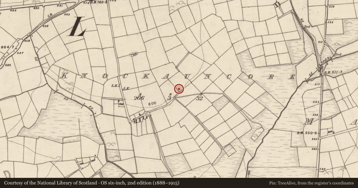 Ordnance Survey six-inch map, 2nd edition (1888–1915) covering the location of Ringfort - rath, Knockauncore, County Kerry, with a pin at the register's coordinates