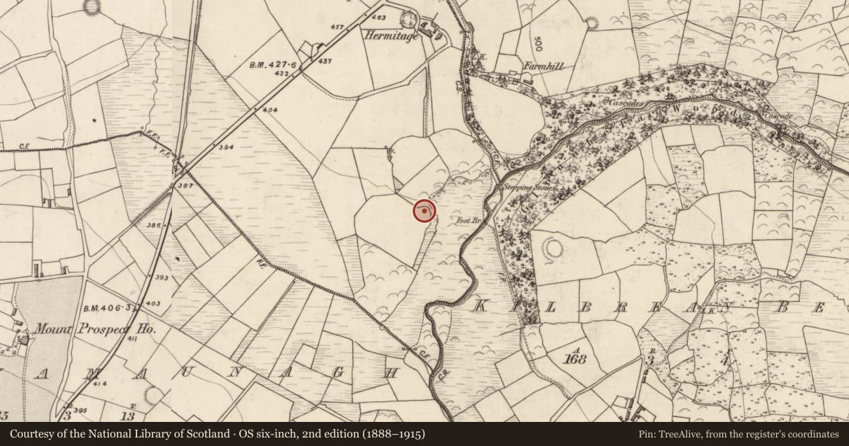 Ordnance Survey six-inch map, 2nd edition (1888–1915) covering the location of Ringfort - rath, Clashnagarrane, County Kerry, with a pin at the register's coordinates