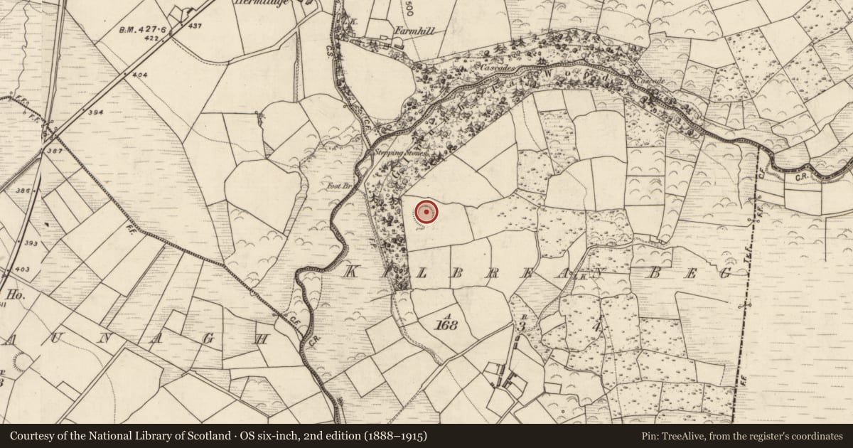 Ordnance Survey six-inch map, 2nd edition (1888–1915) covering the location of Ringfort - rath, Kilbreanbeg, County Kerry, with a pin at the register's coordinates