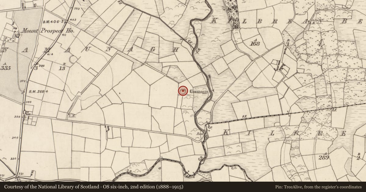 Ordnance Survey six-inch map, 2nd edition (1888–1915) covering the location of Ringfort - rath, Ballynamaunagh, County Kerry, with a pin at the register's coordinates
