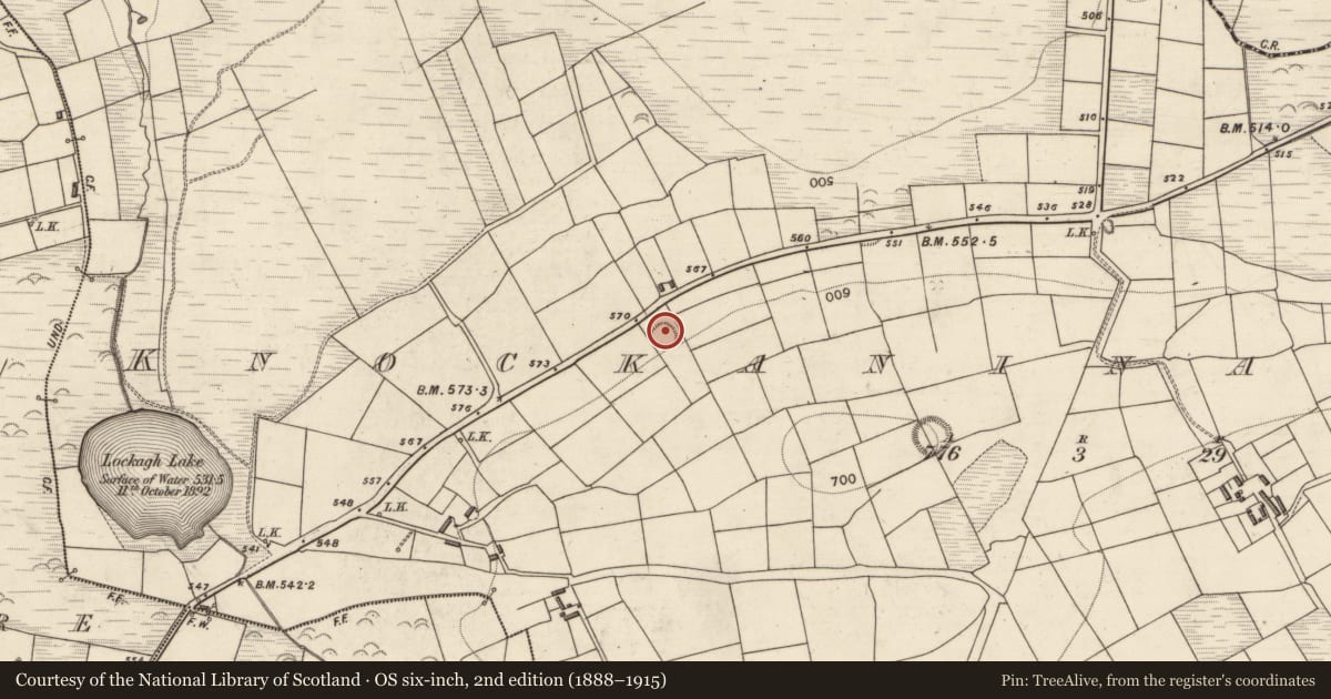 Ordnance Survey six-inch map, 2nd edition (1888–1915) covering the location of Ringfort - rath, Knockaninane West, County Kerry, with a pin at the register's coordinates
