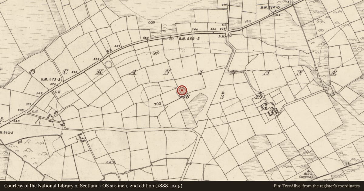 Ordnance Survey six-inch map, 2nd edition (1888–1915) covering the location of Children's burial ground, Knockaninane West, County Kerry, with a pin at the register's coordinates