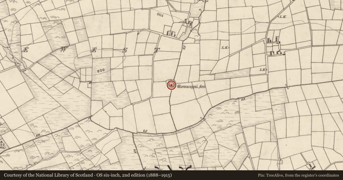 Ordnance Survey six-inch map, 2nd edition (1888–1915) covering the location of Souterrain, Knockaninane West, County Kerry, with a pin at the register's coordinates