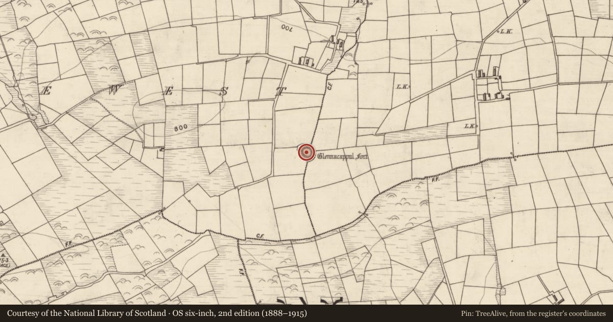 Ordnance Survey six-inch map, 2nd edition (1888–1915) covering the location of Hut site, Knockaninane West, County Kerry, with a pin at the register's coordinates