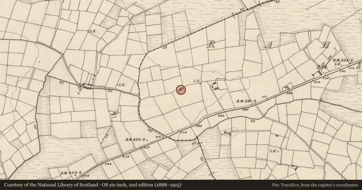 Ordnance Survey six-inch map, 2nd edition (1888–1915) covering the location of Barrow - ring-barrow, Raheen, County Kerry, with a pin at the register's coordinates