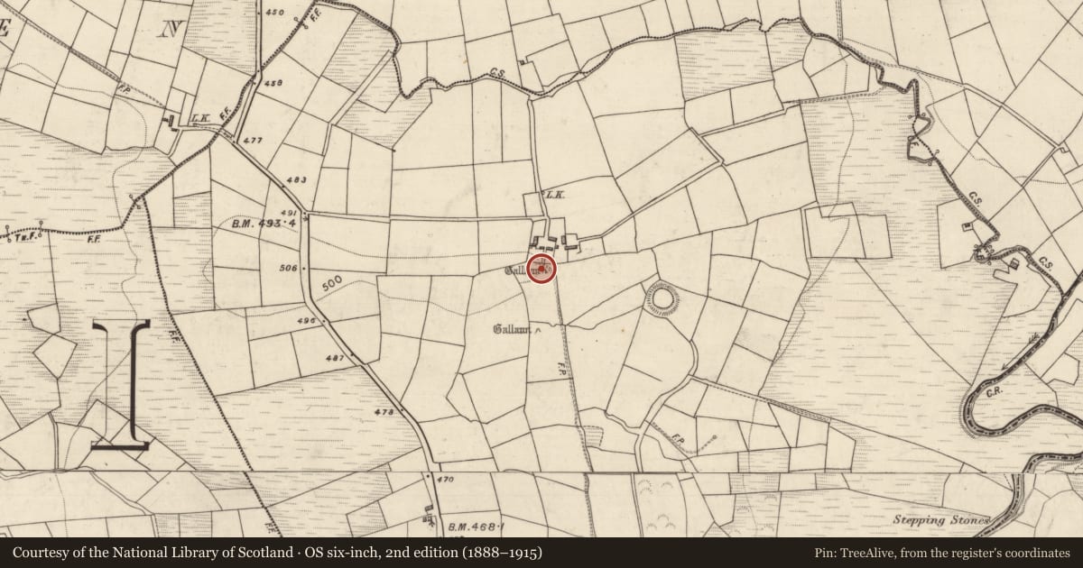 Ordnance Survey six-inch map, 2nd edition (1888–1915) covering the location of Standing stone, Lisbabe, County Kerry, with a pin at the register's coordinates
