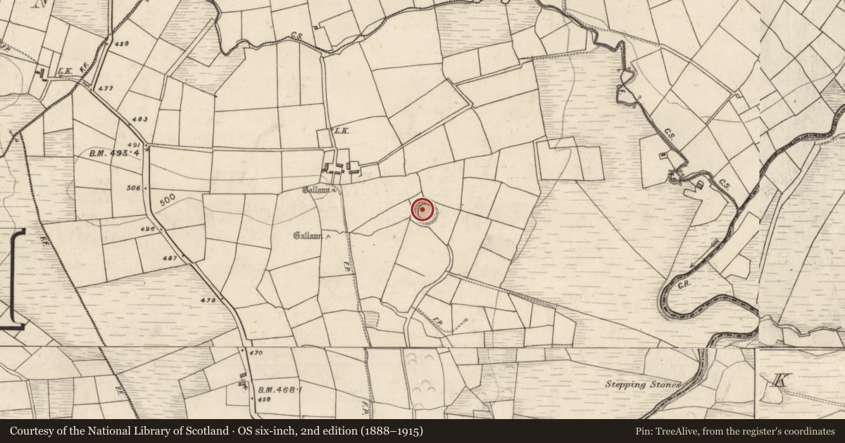Ordnance Survey six-inch map, 2nd edition (1888–1915) covering the location of Ringfort - rath, Lisbabe, County Kerry, with a pin at the register's coordinates