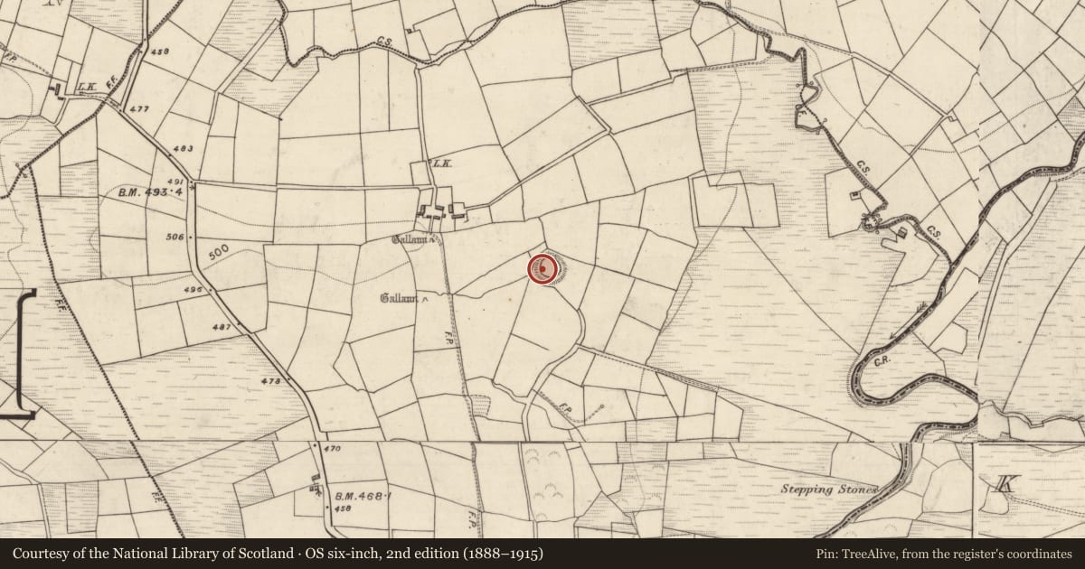 Ordnance Survey six-inch map, 2nd edition (1888–1915) covering the location of Souterrain, Lisbabe, County Kerry, with a pin at the register's coordinates