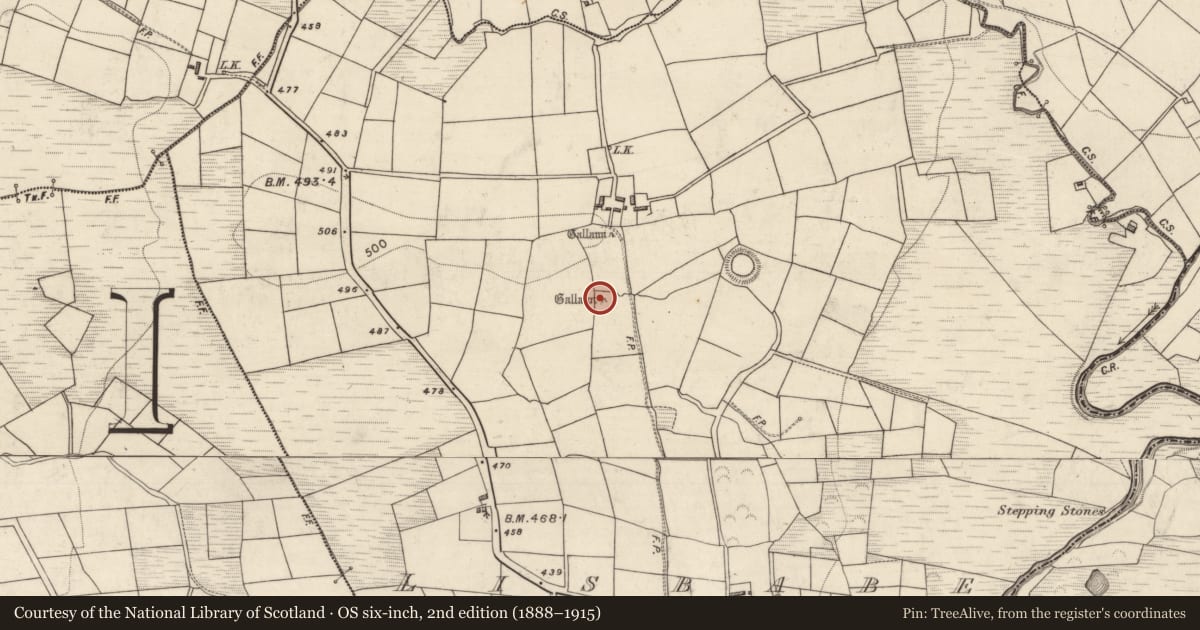 Ordnance Survey six-inch map, 2nd edition (1888–1915) covering the location of Standing stone, Lisbabe, County Kerry, with a pin at the register's coordinates