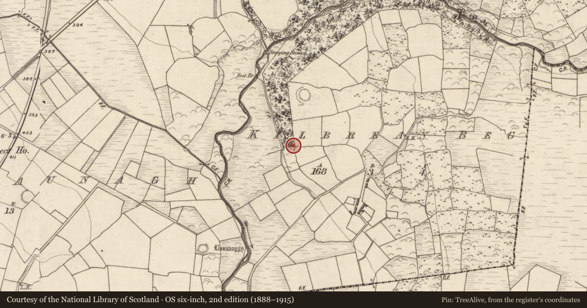 Ordnance Survey six-inch map, 2nd edition (1888–1915) covering the location of Architectural fragment, Kilbreanbeg, County Kerry, with a pin at the register's coordinates