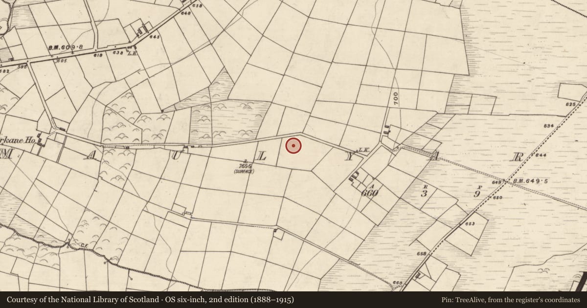 Ordnance Survey six-inch map, 2nd edition (1888–1915) covering the location of Standing stone, Maulyarkane, County Kerry, with a pin at the register's coordinates