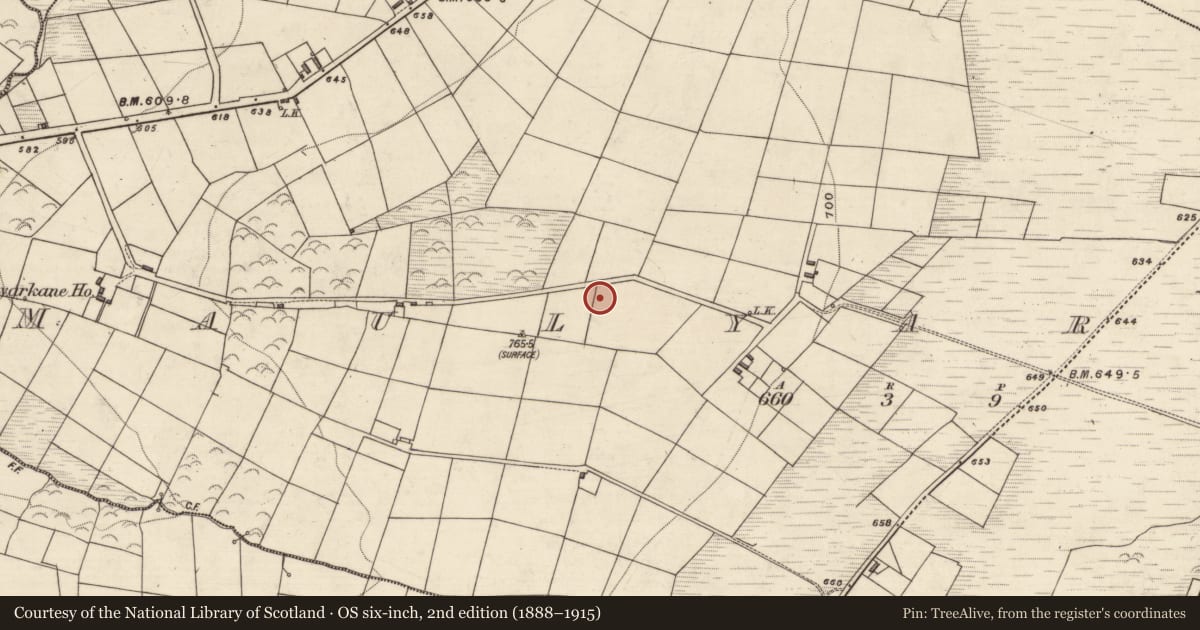 Ordnance Survey six-inch map, 2nd edition (1888–1915) covering the location of Anomalous stone group, Maulyarkane, County Kerry, with a pin at the register's coordinates