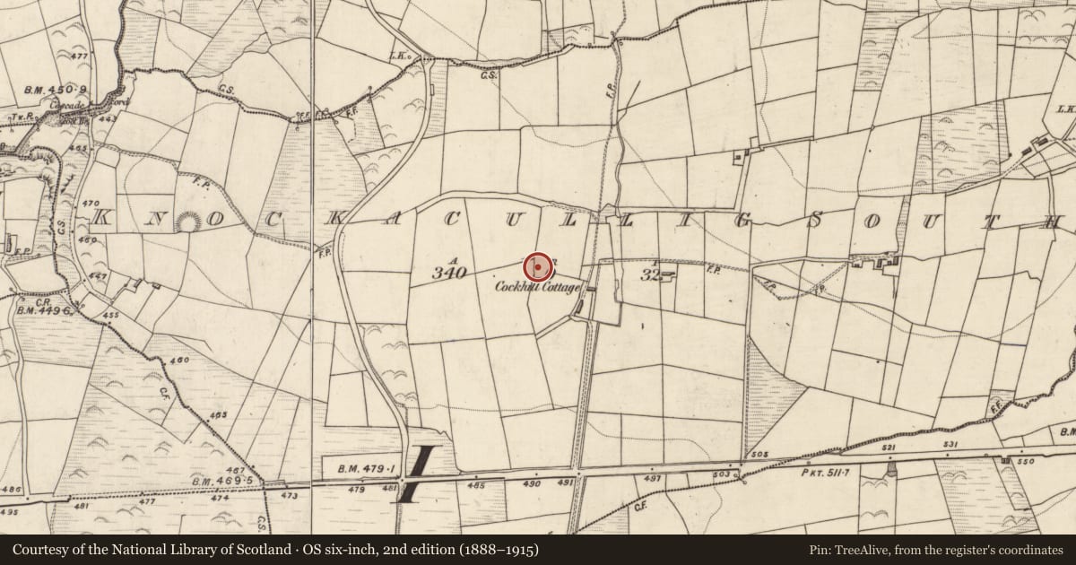 Ordnance Survey six-inch map, 2nd edition (1888–1915) covering the location of Ringfort - rath, Knockacullig South, County Kerry, with a pin at the register's coordinates