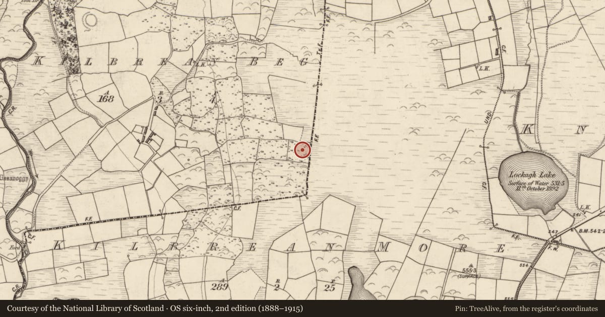 Ordnance Survey six-inch map, 2nd edition (1888–1915) covering the location of Standing stone - pair, Kilbrean Beg, County Kerry, with a pin at the register's coordinates