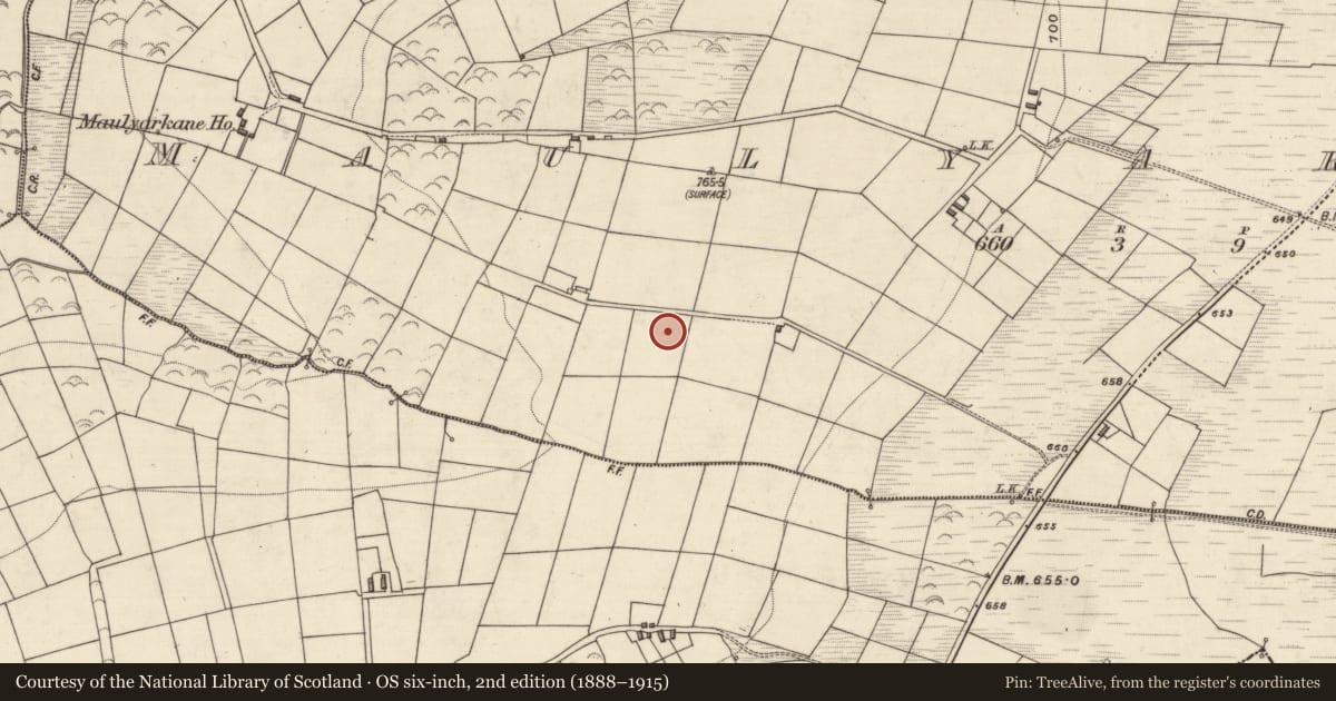 Ordnance Survey six-inch map, 2nd edition (1888–1915) covering the location of Standing stone, Maulyarkane, County Kerry, with a pin at the register's coordinates