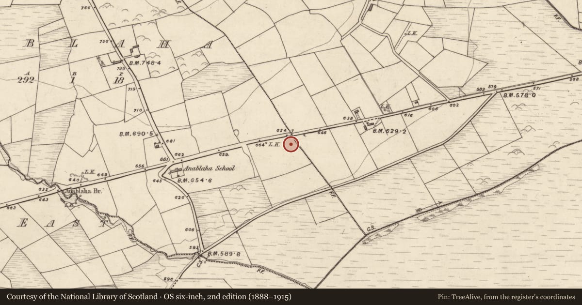 Ordnance Survey six-inch map, 2nd edition (1888–1915) covering the location of Fulacht fia, Anablaha, County Kerry, with a pin at the register's coordinates
