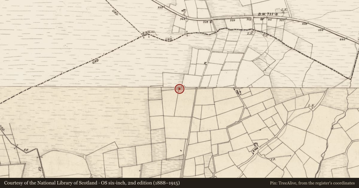 Ordnance Survey six-inch map, 2nd edition (1888–1915) covering the location of Stone row, Toornanaunagh, County Kerry, with a pin at the register's coordinates