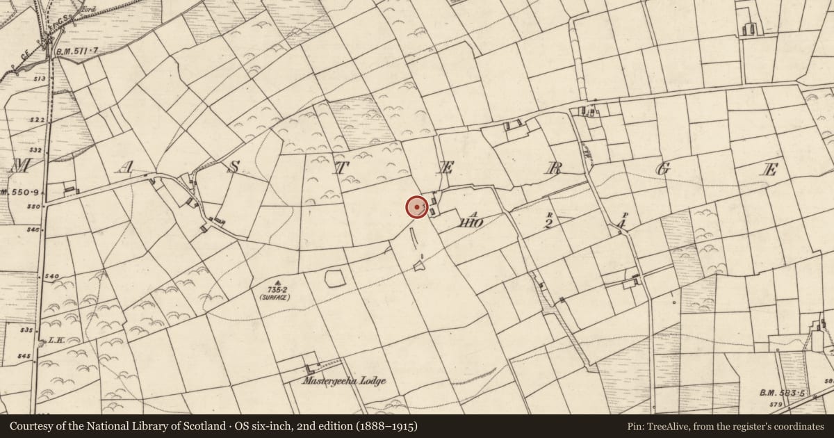 Ordnance Survey six-inch map, 2nd edition (1888–1915) covering the location of Ringfort - rath, Mastergeeha, County Kerry, with a pin at the register's coordinates